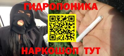 круглые Гусев